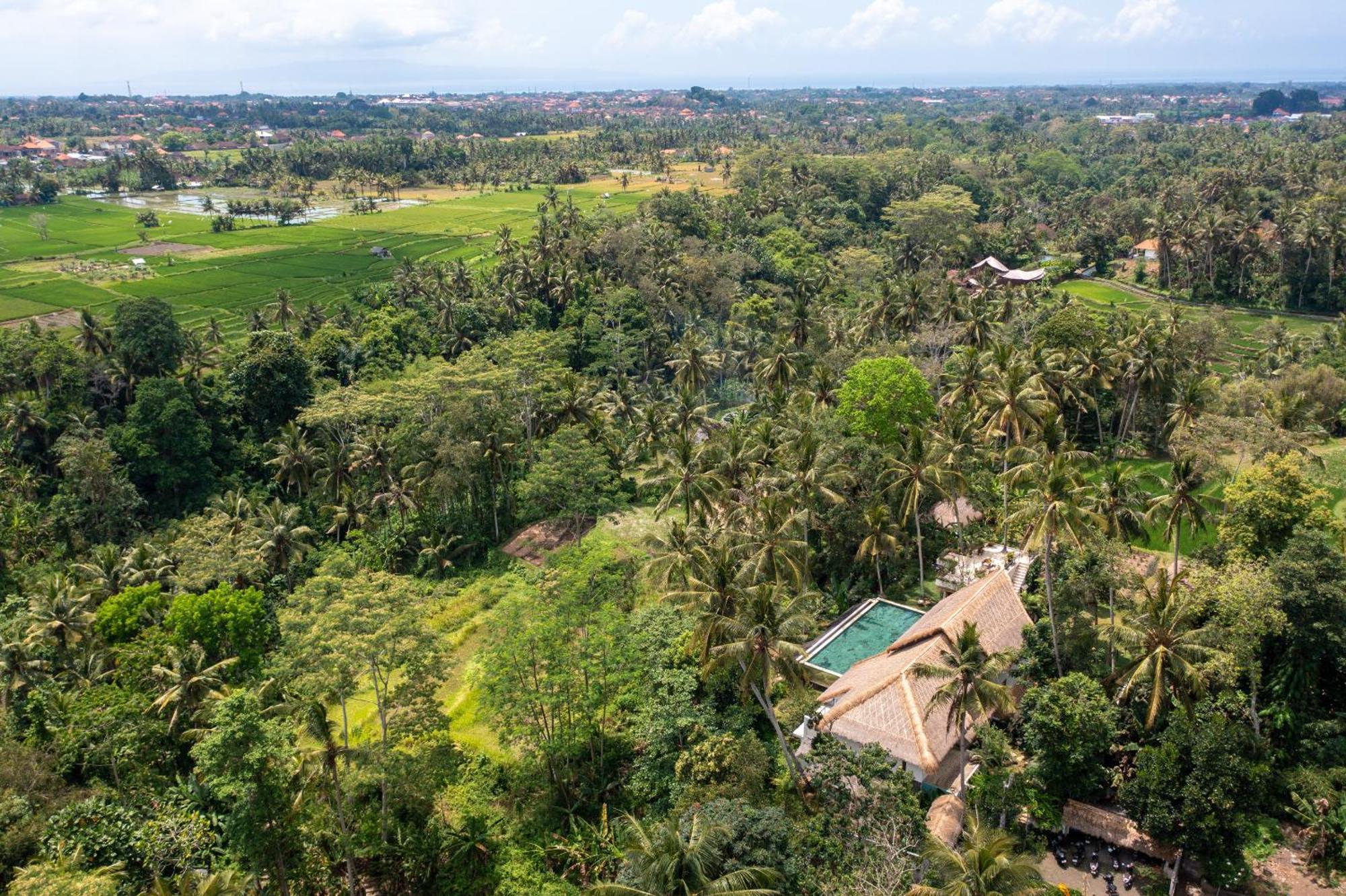 Villa Ressource Ubud Bedahulu Bagian luar foto